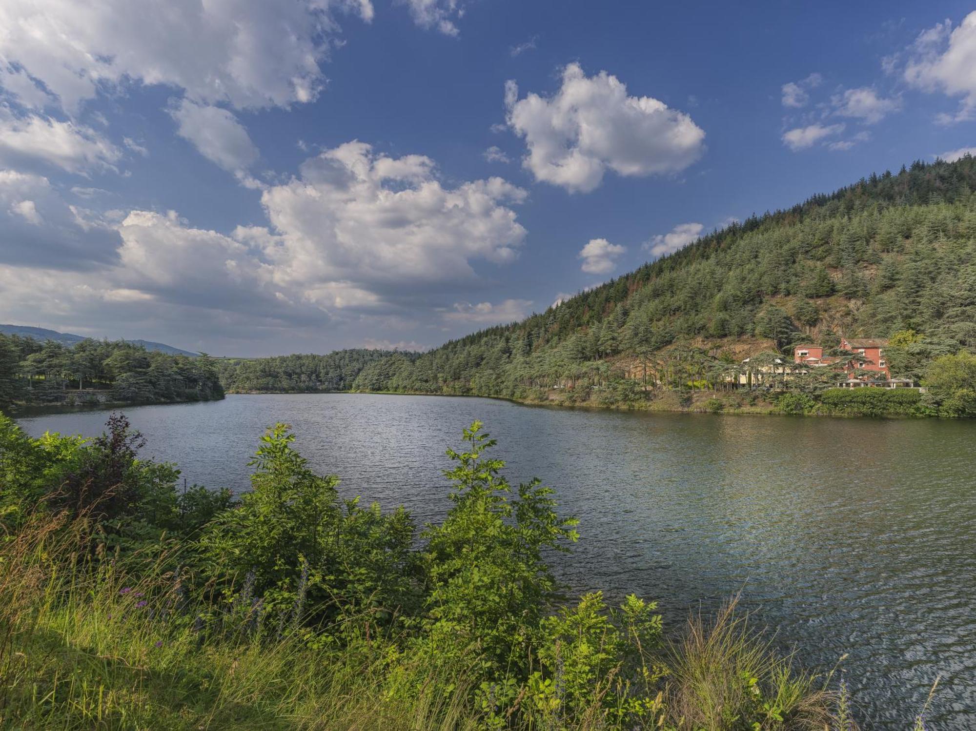 Auberge Du Lac Hotel Saint-Marcel-les-Annonay Ngoại thất bức ảnh